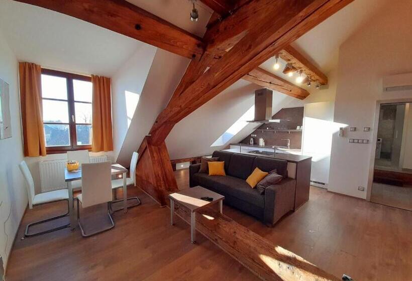 شقة غرفتين, Residence Mariánská