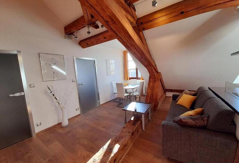 شقة غرفتين, Residence Mariánská