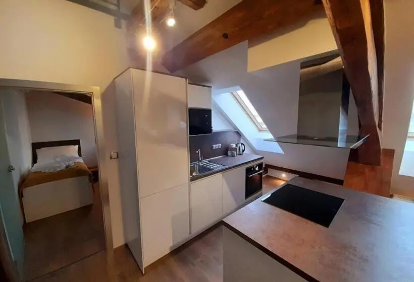Deluxe-huoneisto 1 Makuuhuone, Residence Mariánská