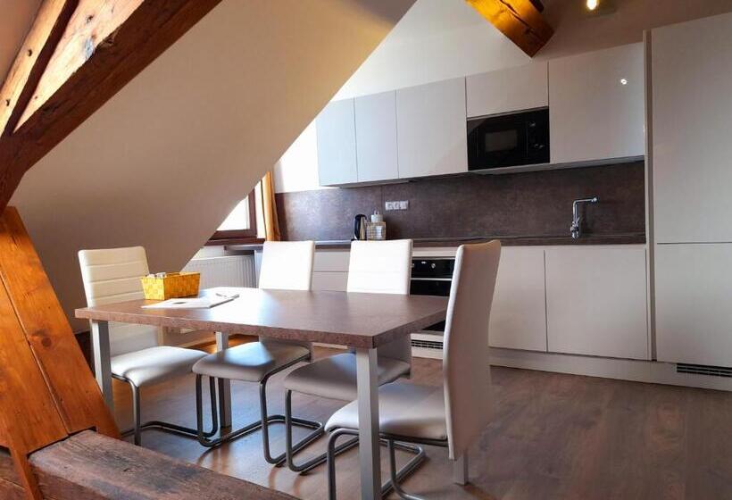 Апартаменты Superior 1 Спальня, Residence Mariánská