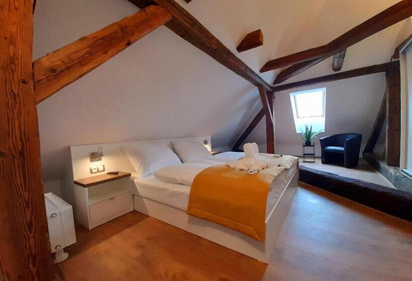 شقة سوبريور غرفة واحدة, Residence Mariánská