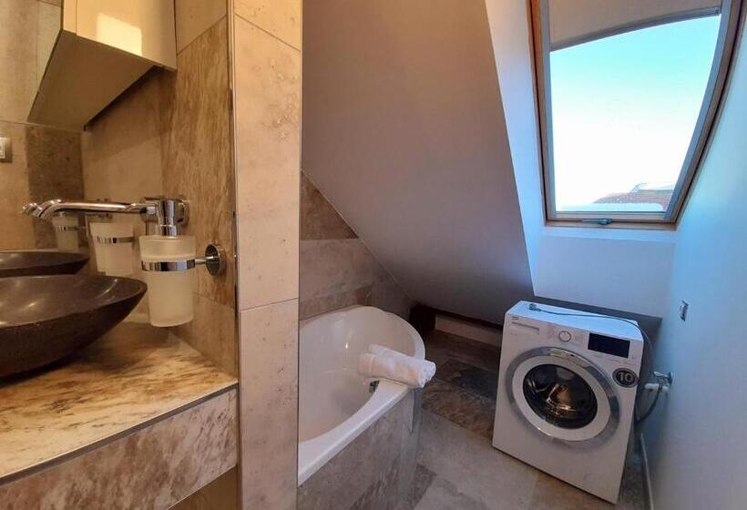 Апартаменты Superior 1 Спальня, Residence Mariánská