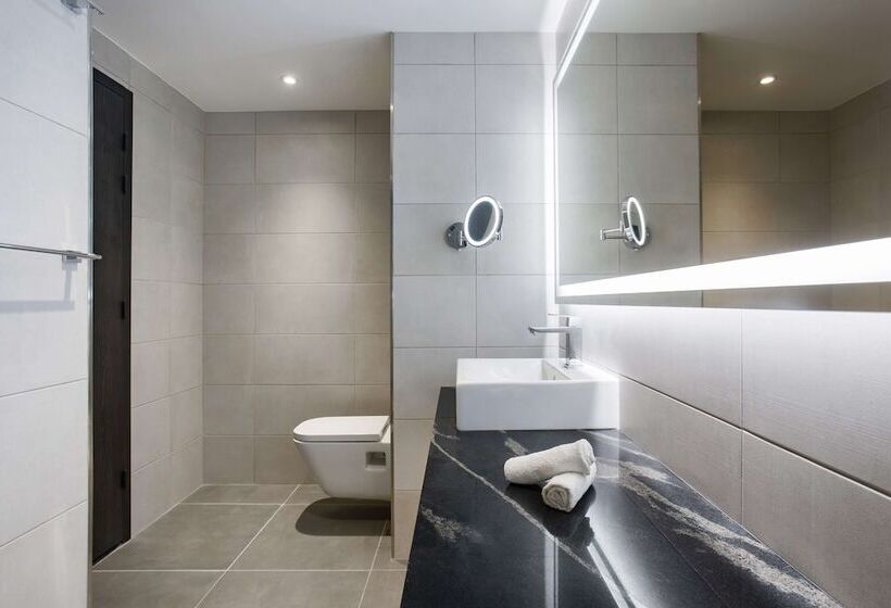 اتاق استاندارد, Radisson Blu Hotel Antananarivo Waterfront