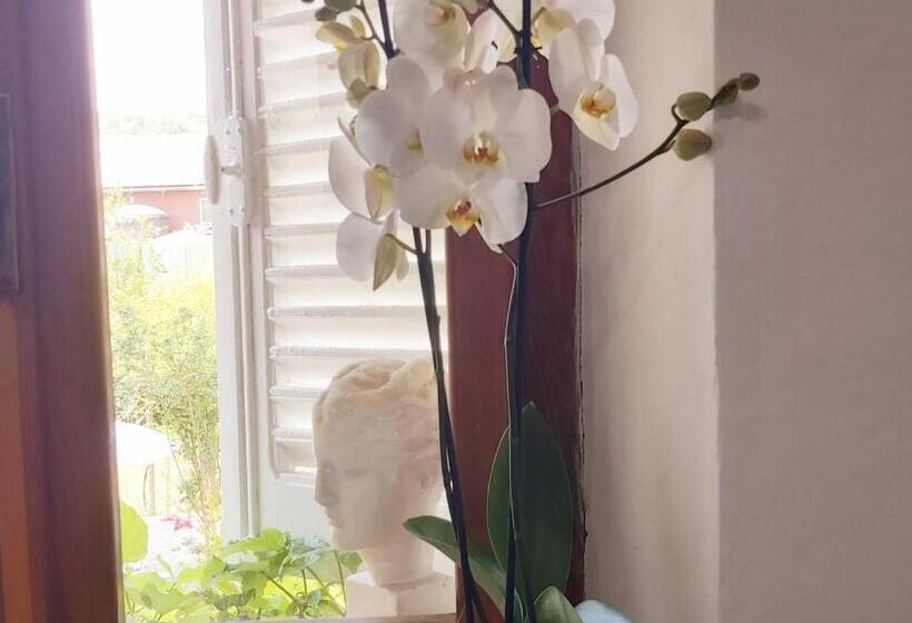 غرفة عائلية مطلّة علي الجبل, Rana Cantante