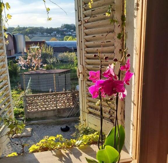 غرفة عائلية مطلّة علي الجبل, Rana Cantante