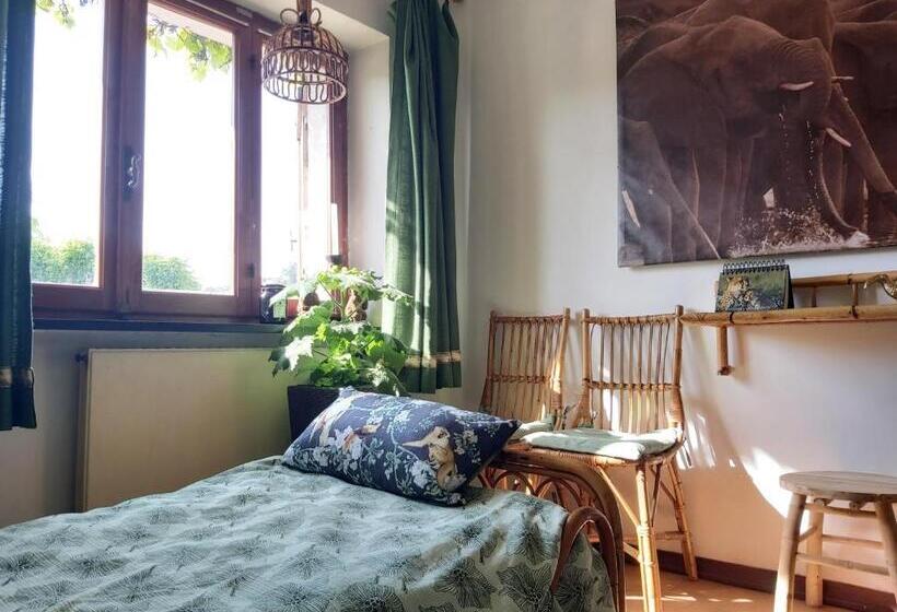 جناح عائلي, Rana Cantante