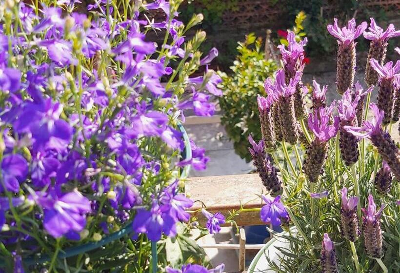 شقة غرفة واحدة مزودة بتراس, Rana Cantante