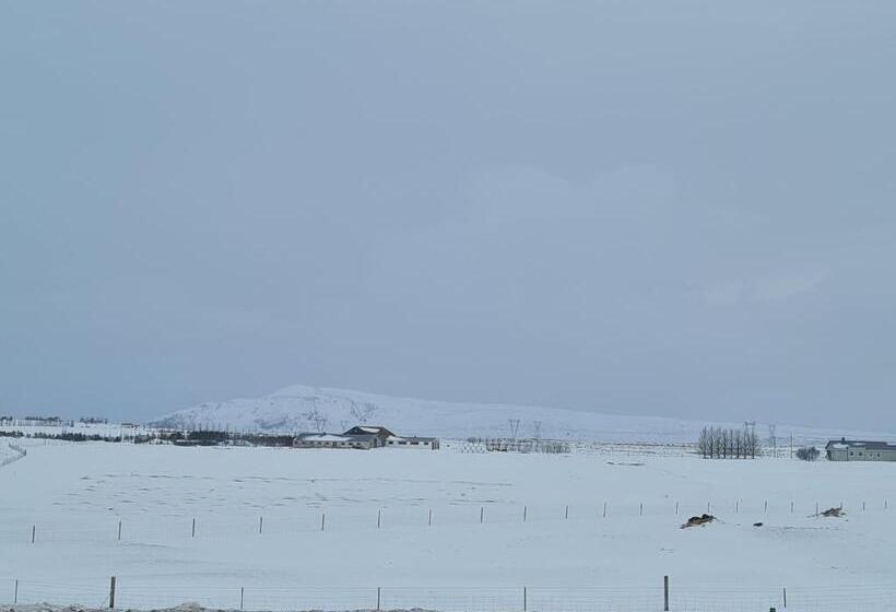 آپارتمان 1 خوابه, Mb Guesthouse