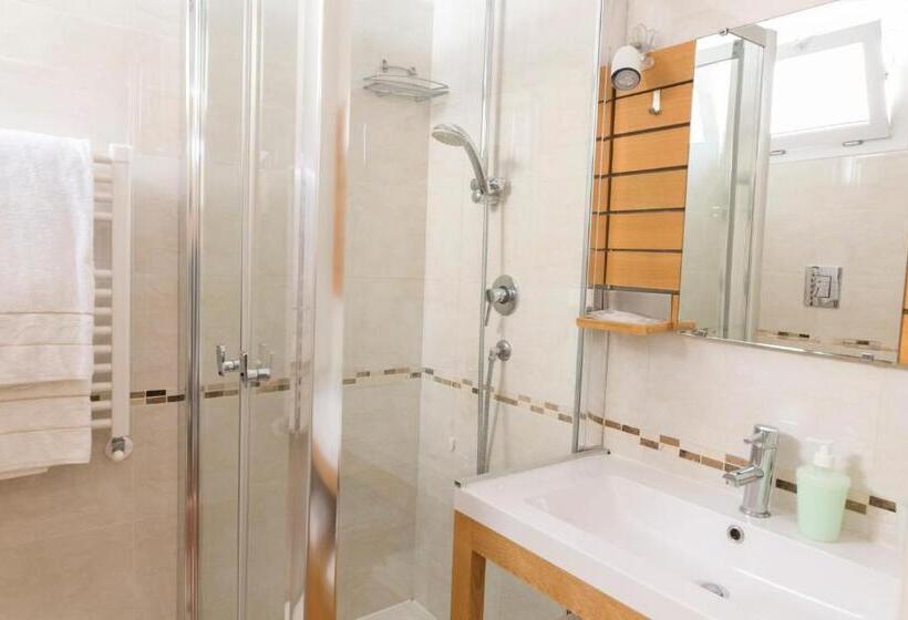 スタンダードルーム, Lewisrooms Domo