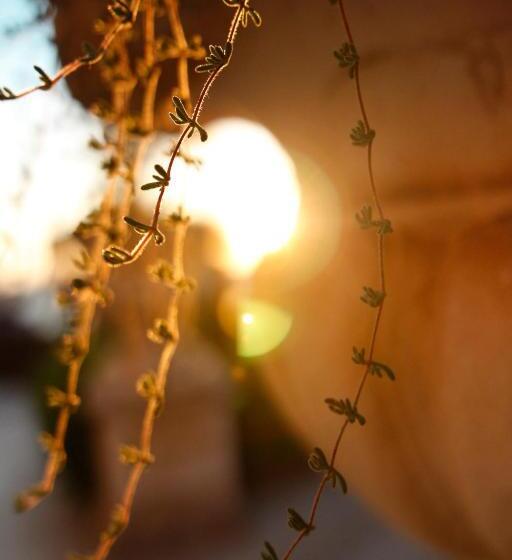 اتاق استاندارد, Villa Margherita