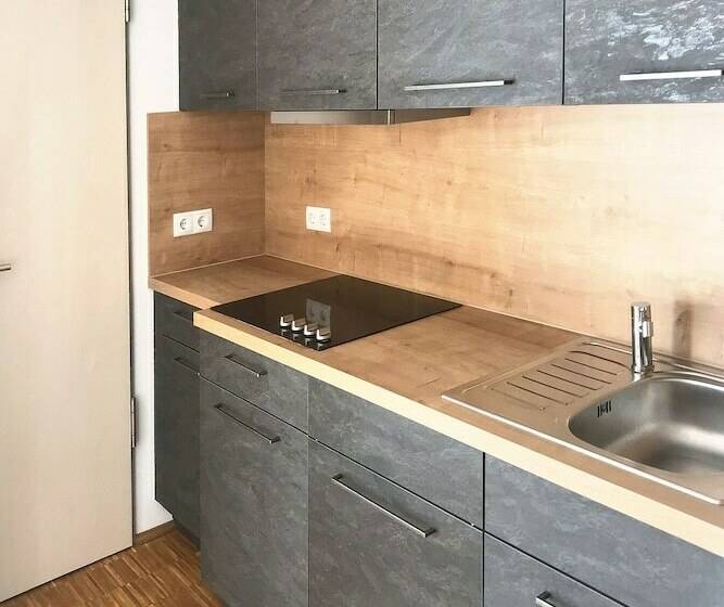 Апартаменты Deluxe 1 Спальня, Freischutz Apartments