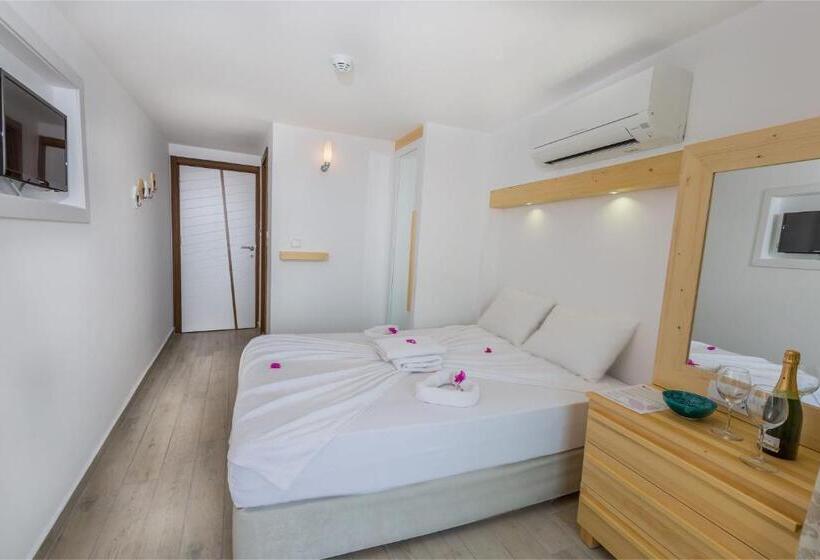 اتاق استاندارد, Defne