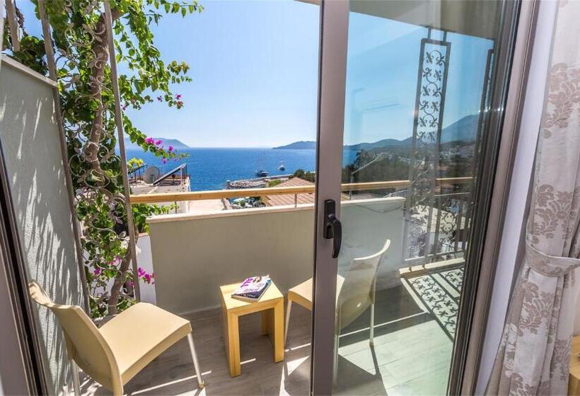 اتاق استاندارد سه نفره, Defne