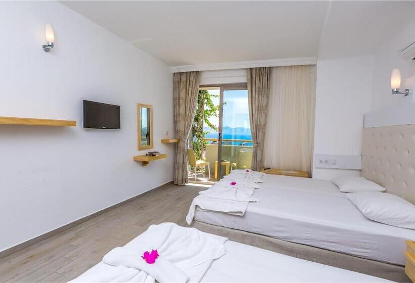 اتاق استاندارد سه نفره, Defne