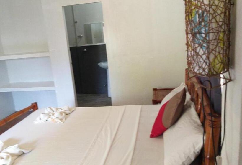 اتاق سوپریور, The Sharks Tail Dive Resort