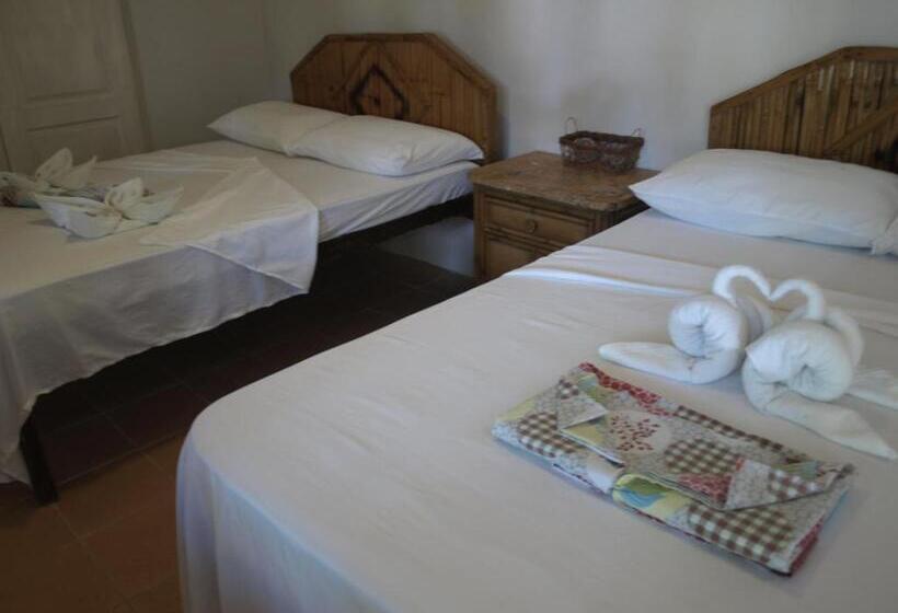 اتاق لوکس چهار تخته, The Sharks Tail Dive Resort