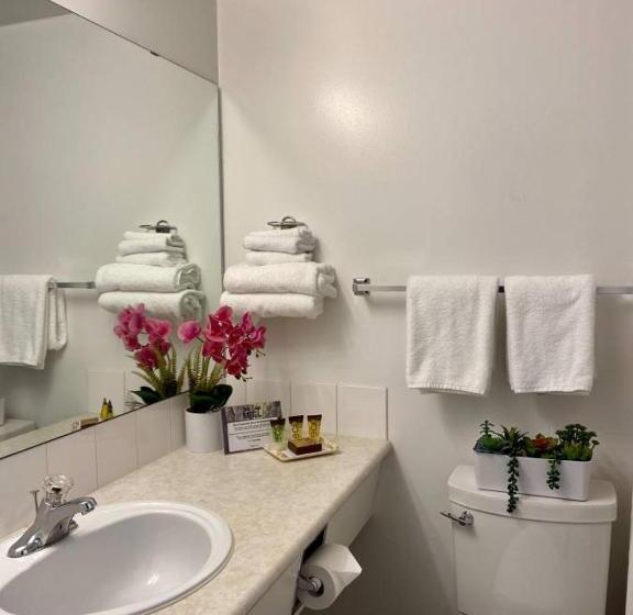 סוויטה נוף לים, Sea Edge Motel