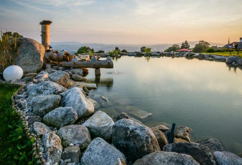 디럭스 룸, Wellness Hotel V Nebi