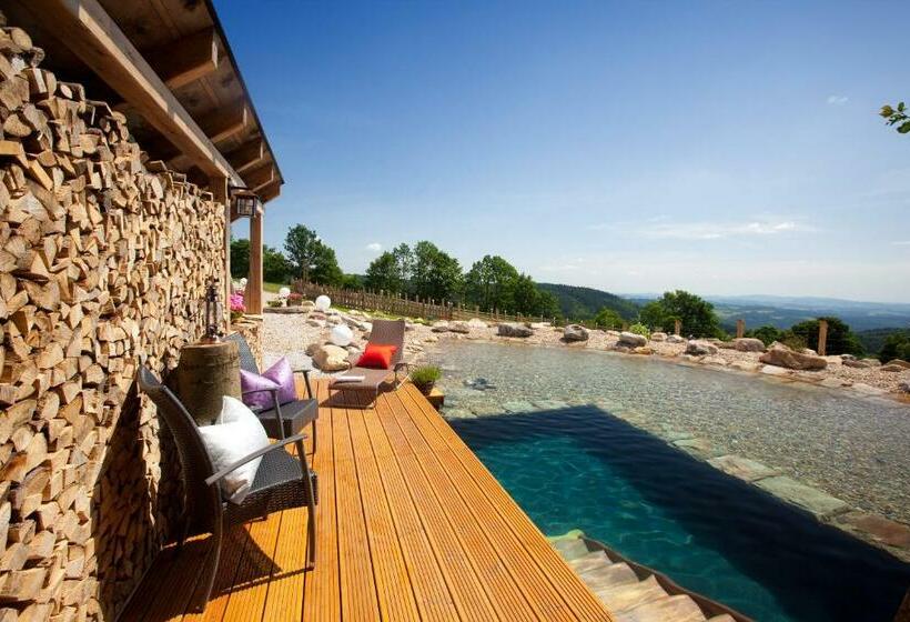 디럭스 룸, Wellness Hotel V Nebi