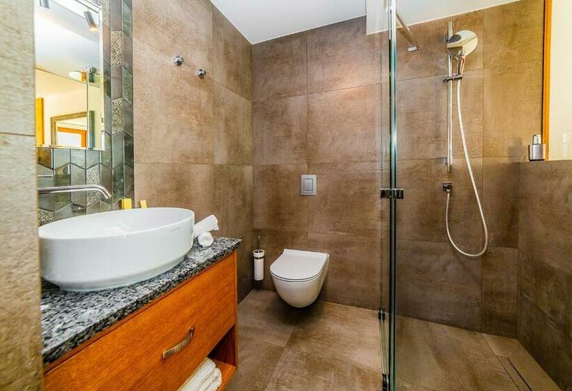 스탠다드 룸, Wellness Hotel V Nebi