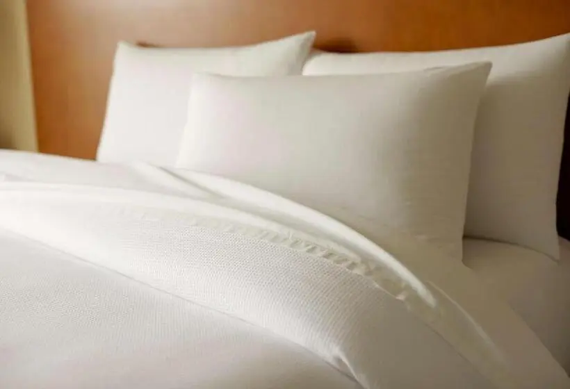 スタンダードルーム, Hyatt House Indianapolis Fishers