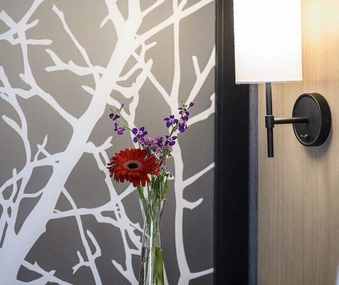 غرفة قياسية, Hyatt House Indianapolis Fishers