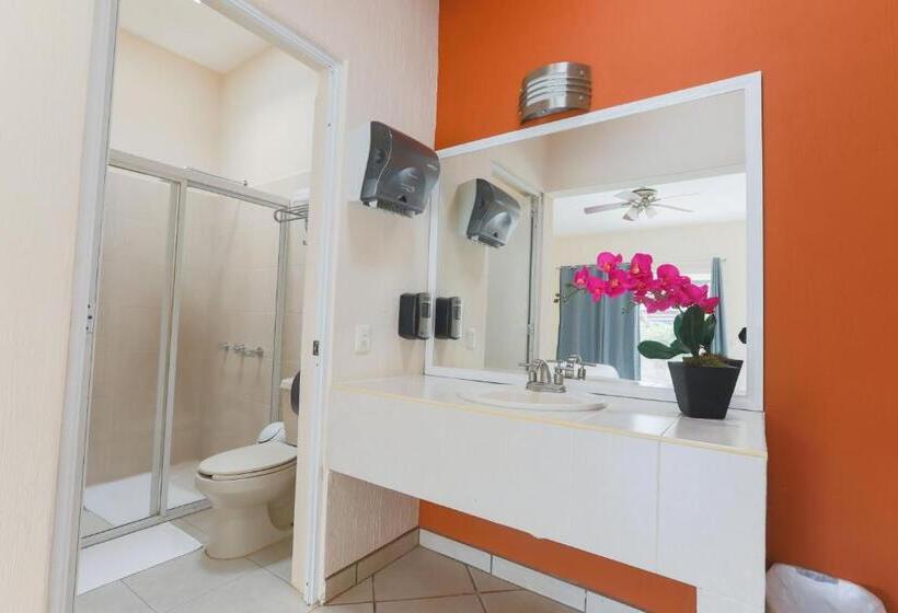 חדר סטנדרט עם מיטת קינג, Habitaciones Lucero 2