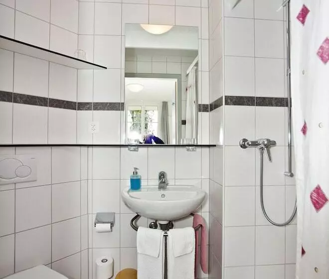 Standard Single Room, Bienenberg   Das Genusshotel Im Grünen   Liestal