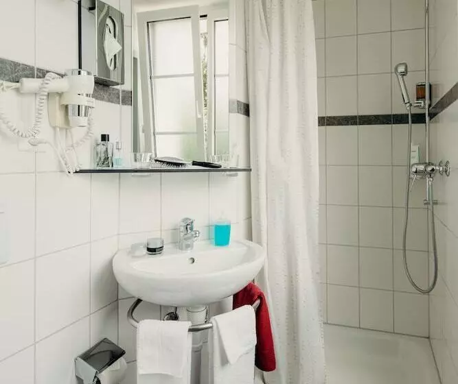 Standard Single Room, Bienenberg   Das Genusshotel Im Grünen   Liestal