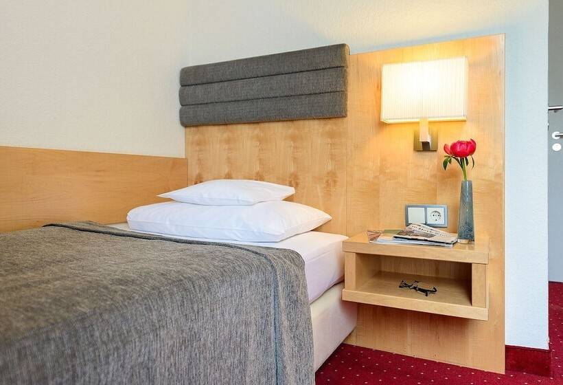 이코노미 싱글 룸, De France Wiesbaden City