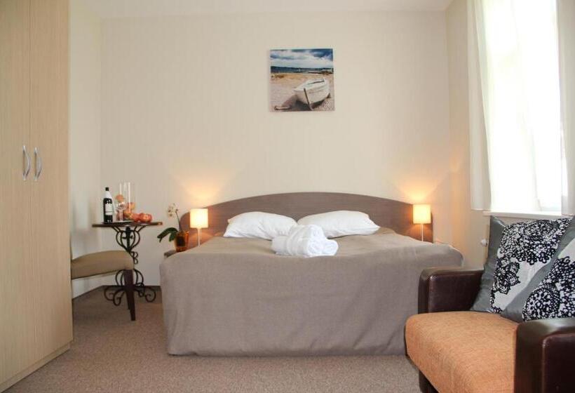 اتاق سوپریور, Dzintars