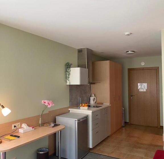 استودیوی استاندارد, Dzintars