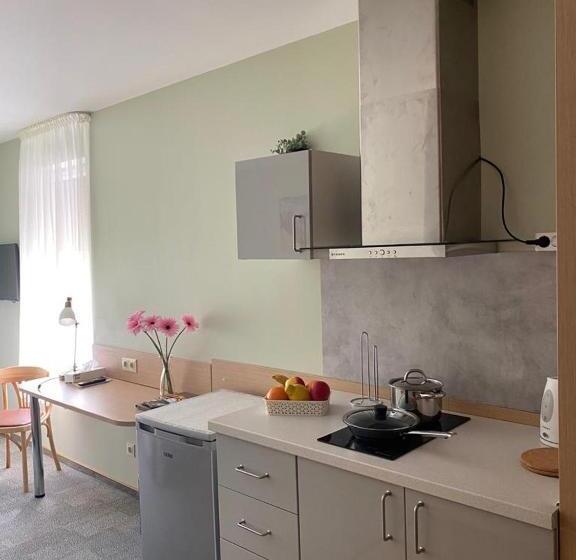 استودیوی استاندارد, Dzintars