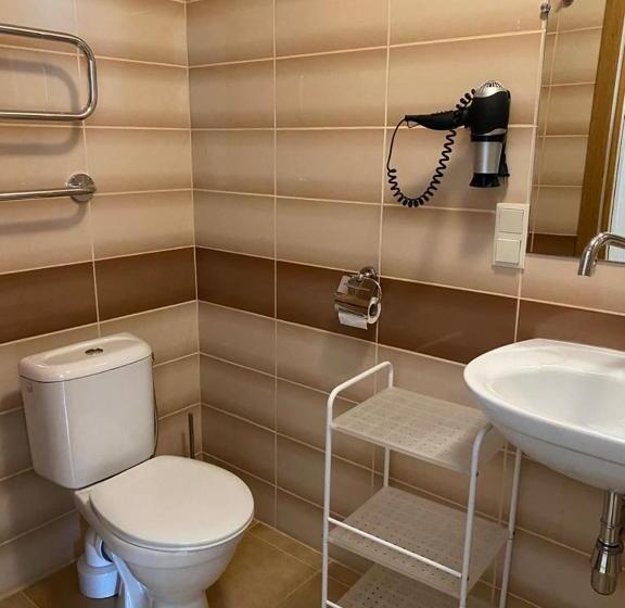 استودیوی استاندارد, Dzintars