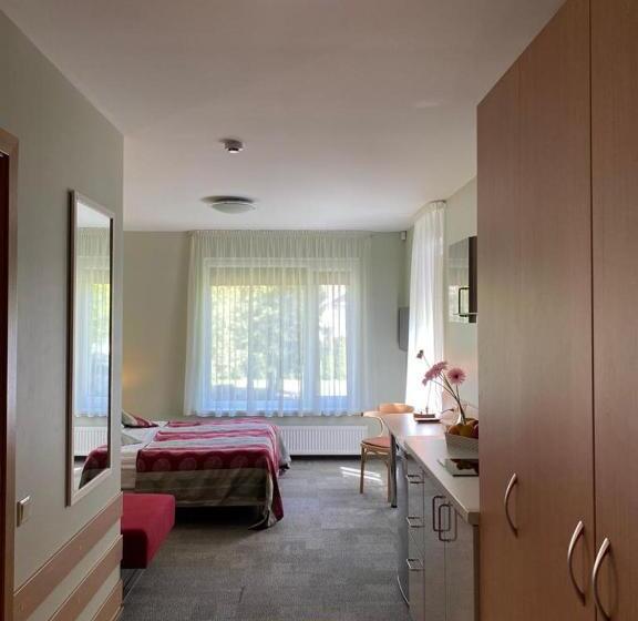 استودیوی استاندارد, Dzintars