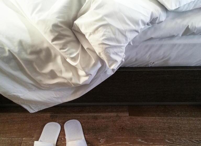 デラックスルーム, Jazz Hotel Nisantasi