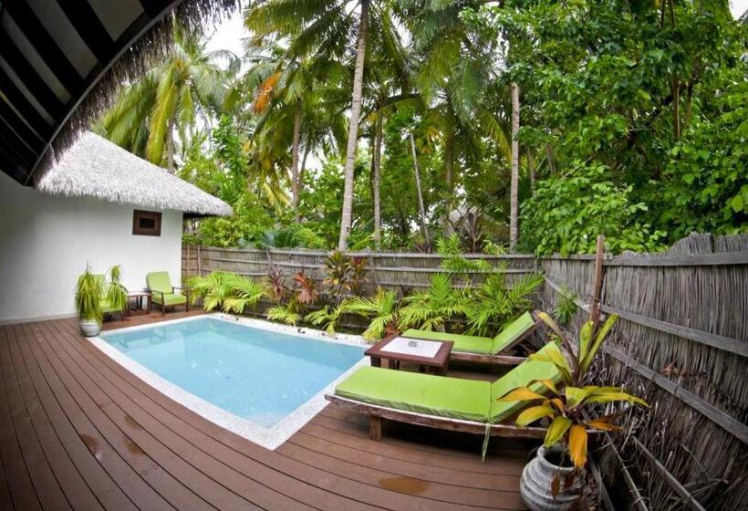 Vilă 1 dormitor cu piscină, Kihaa Maldives