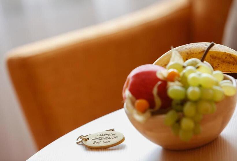 スタンダードルーム, Landhotel Sonnenhalde