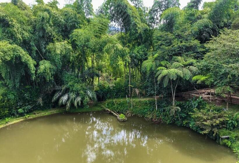 Семейный Номер, Room In Lodge Family Cabin With Lake View