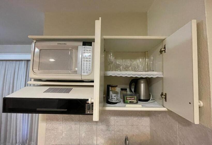 شقة ديلوكس غرفة واحدة, Aquarius Flat Aptos E Suítes