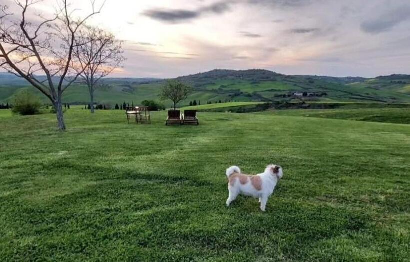 1ベッドルームアパートメント, Agriturismo Barbi