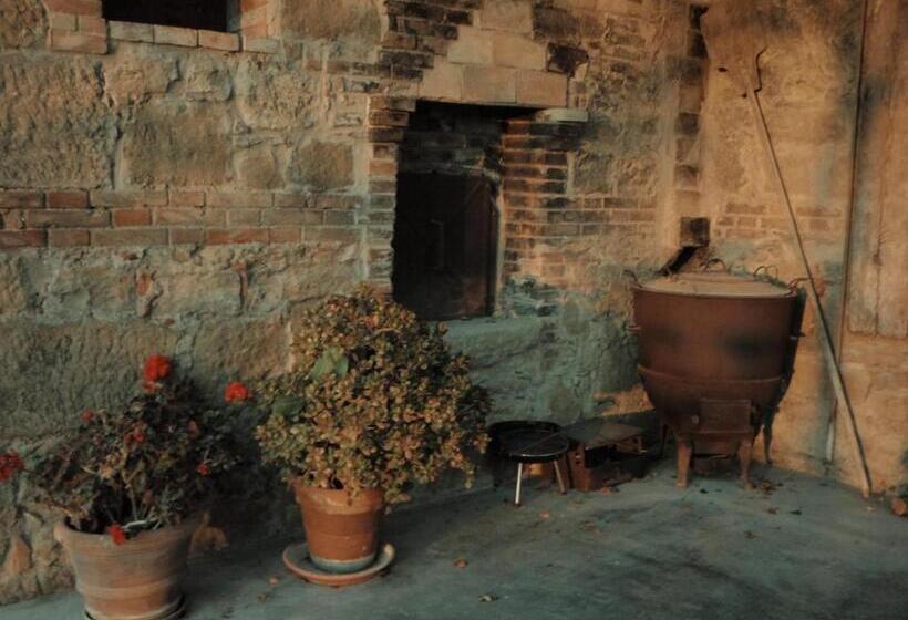 テラス付き1ベッドルームアパートメント, Agriturismo Barbi