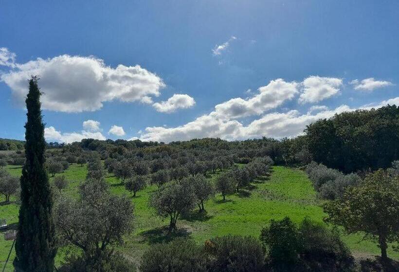 庭の見える1ベッドルームアパートメント, Agriturismo Barbi