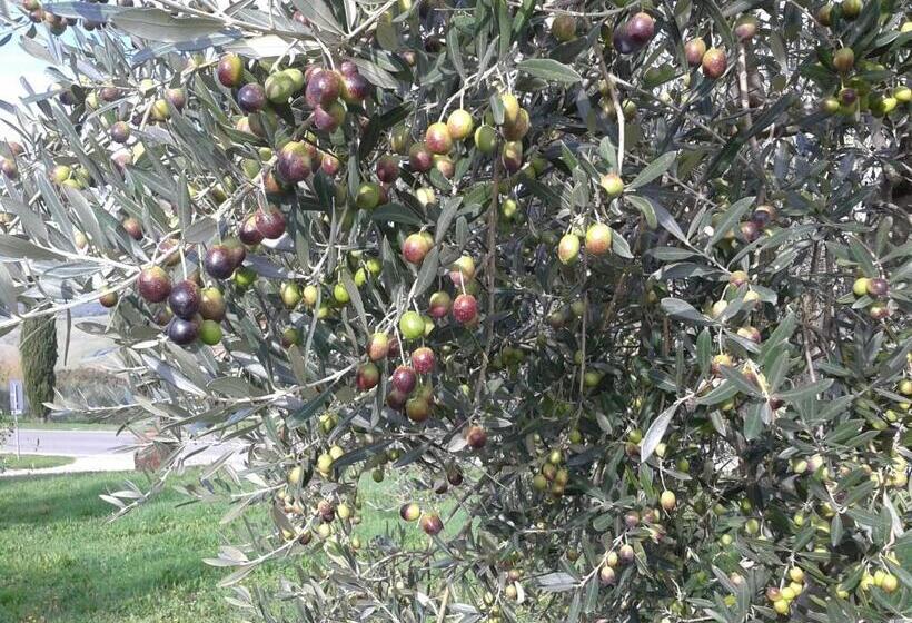 テラスつきの2ベッドルームアパートメント, Agriturismo Barbi