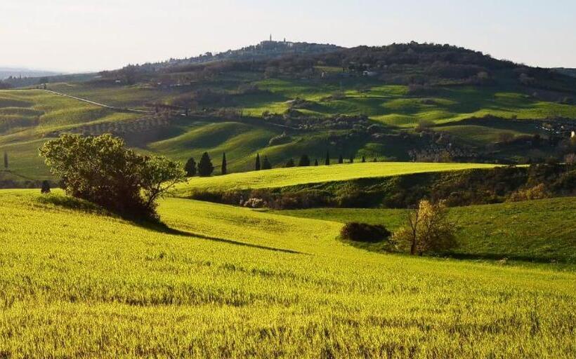 テラス付き1ベッドルームアパートメント, Agriturismo Barbi