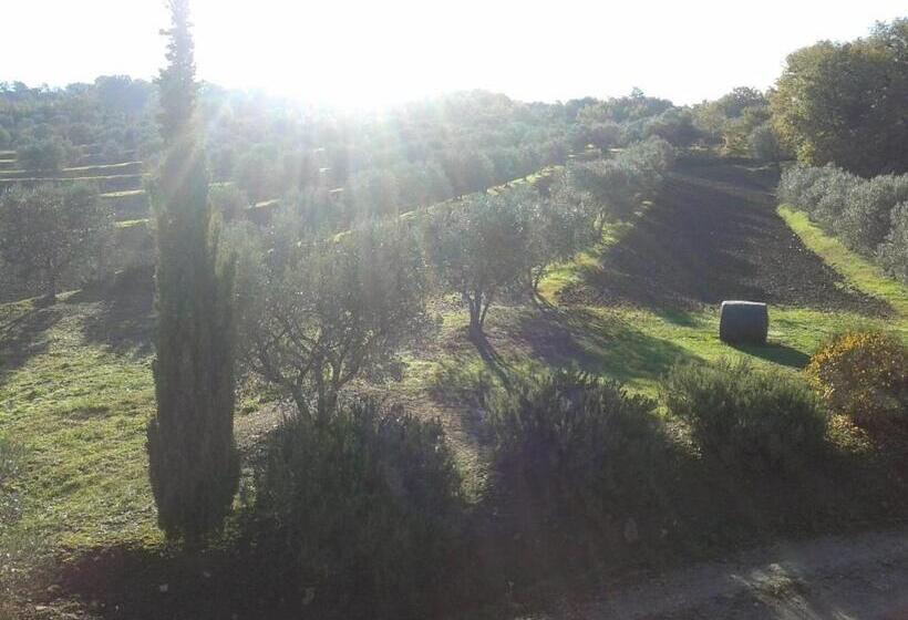 庭の見える1ベッドルームアパートメント, Agriturismo Barbi