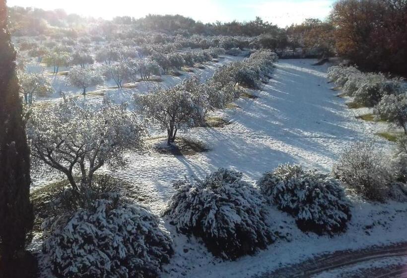 庭の見える1ベッドルームアパートメント, Agriturismo Barbi