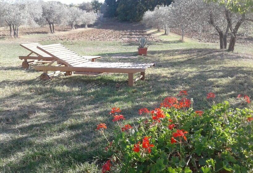 景色の見える一ベッドルームアパートメント, Agriturismo Barbi