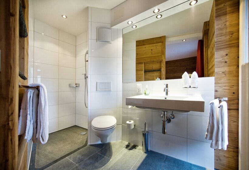 舒适型房间, Arosa Vetter