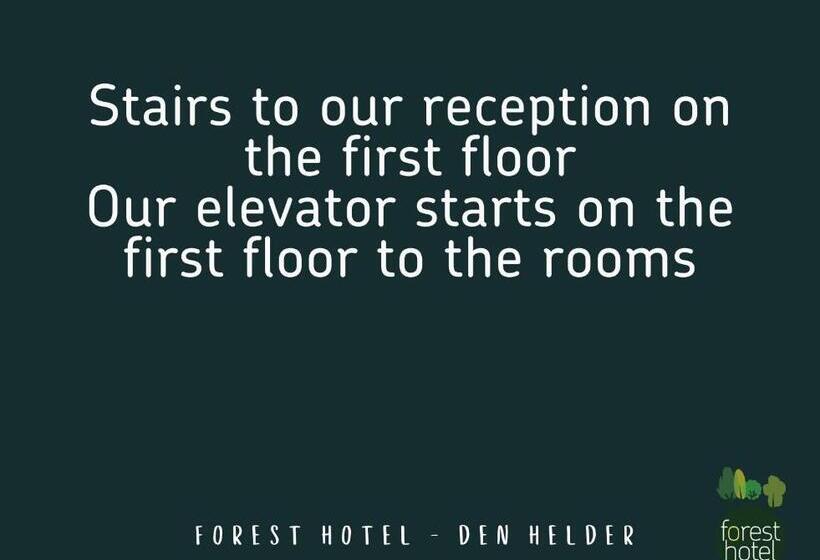 标准单人间, Forest